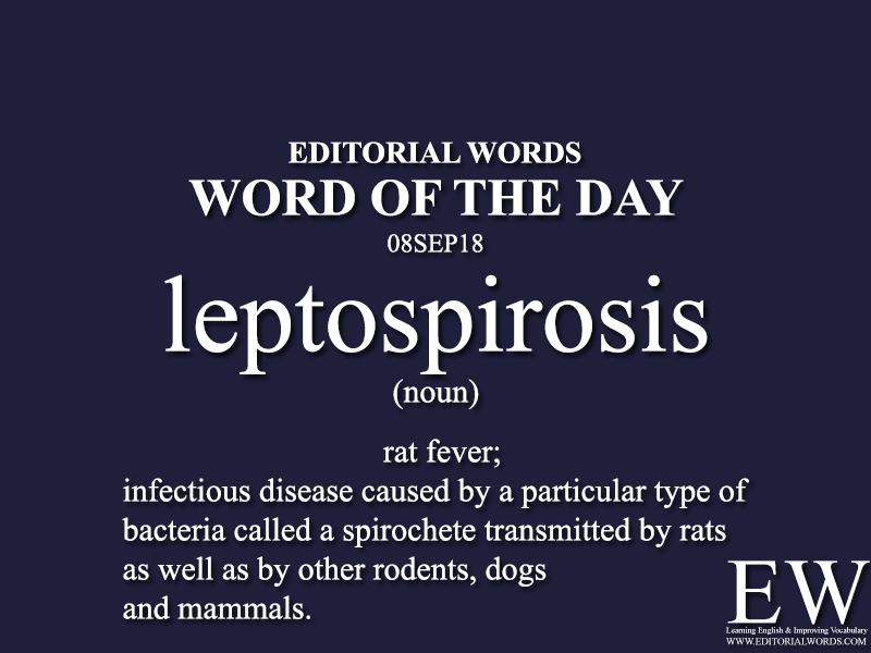 Word of the Day-08SEP18 - Editorial Words