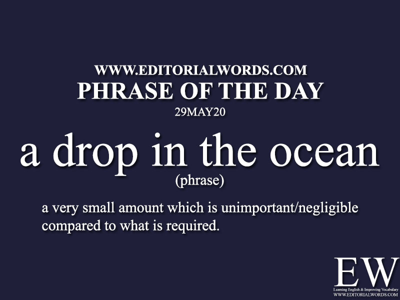 Phrase of the Day (a drop in the ocean)-29MAY20