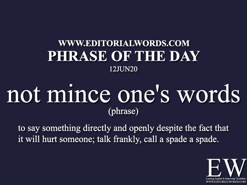 Phrase of the Day (not mince one's words)-12JUN20