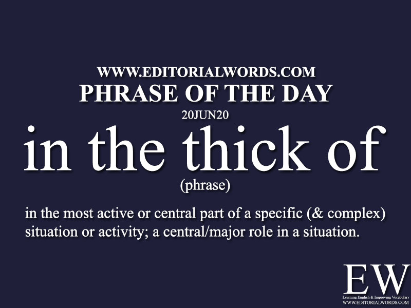 Phrase of the Day (in the thick of)-20JUN20