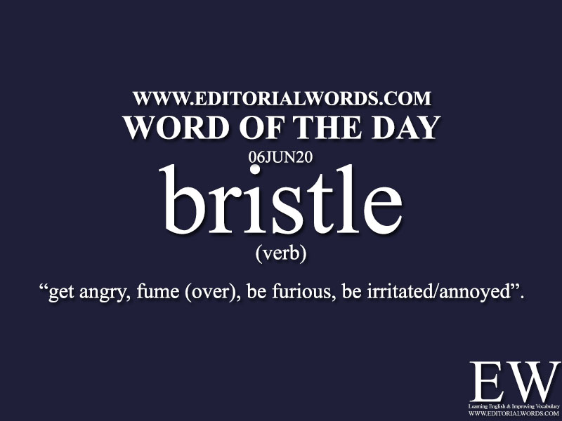 Word of the Day (bristle)-06JUN20