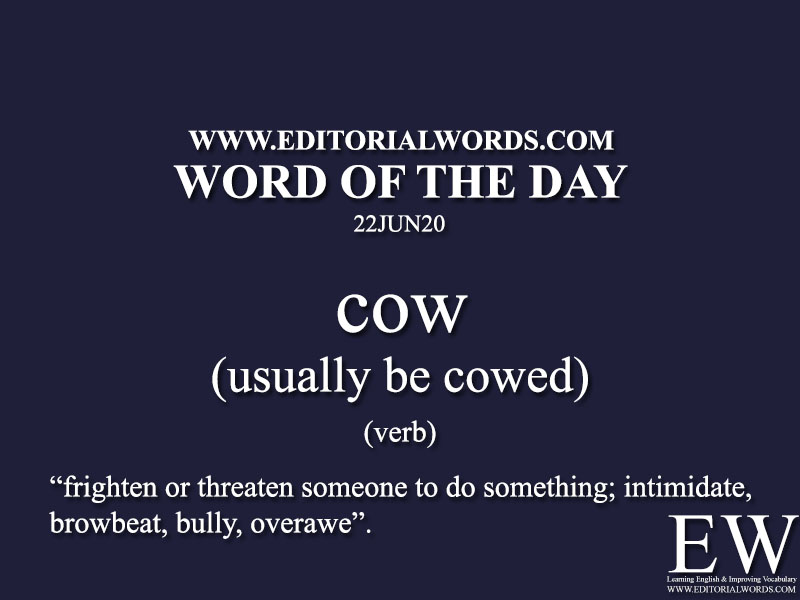 Word of the Day (cow)-22JUN20