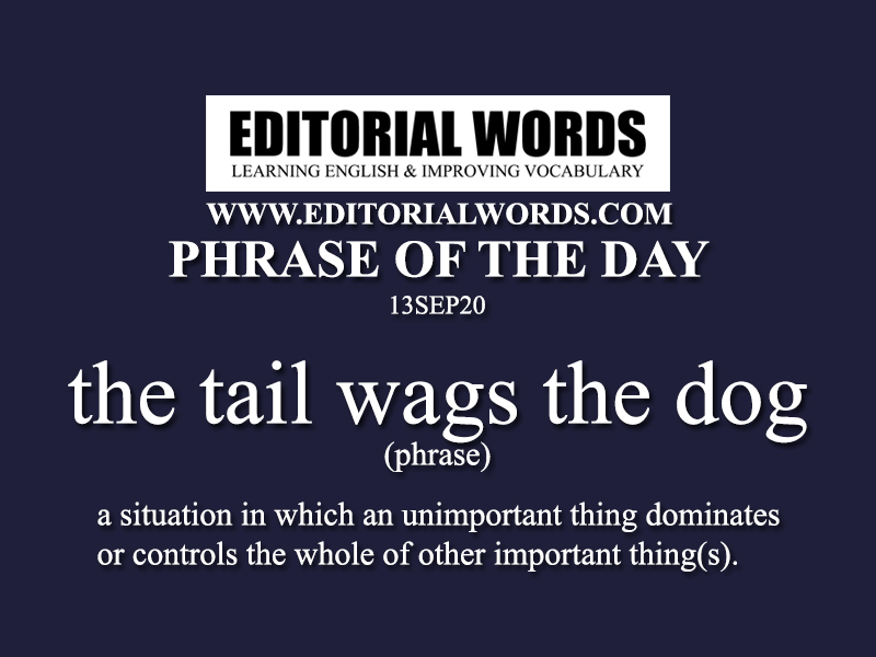 what does it mean when a dog wags its tail