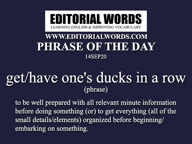 Phrase of the Day (get/have one's ducks in a row)-14SEP20