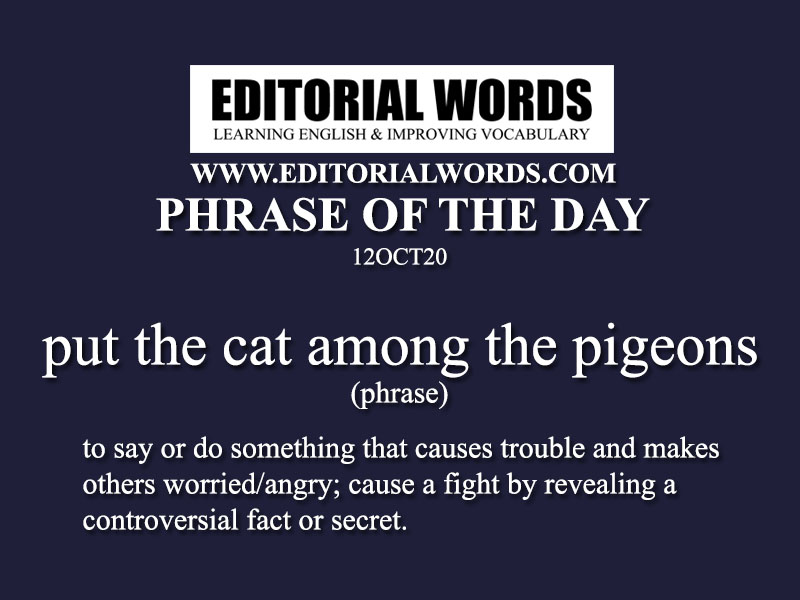 Phrase of the Day (put the cat among the pigeons)-12OCT20