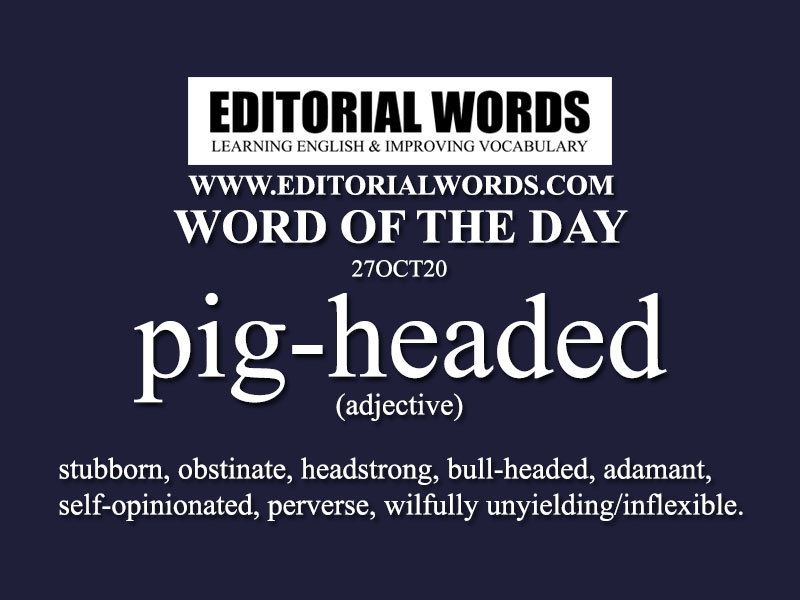 Word - 88 Word - Headstrong Definition - (adjective) Determined to