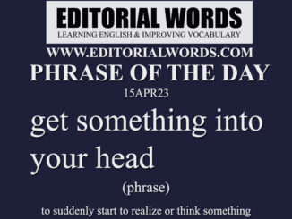 Phrase of the Day (get something into your head)-15APR23