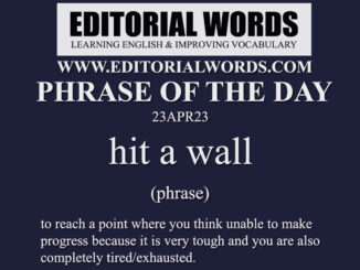 Phrase of the Day (hit a wall)-23APR23