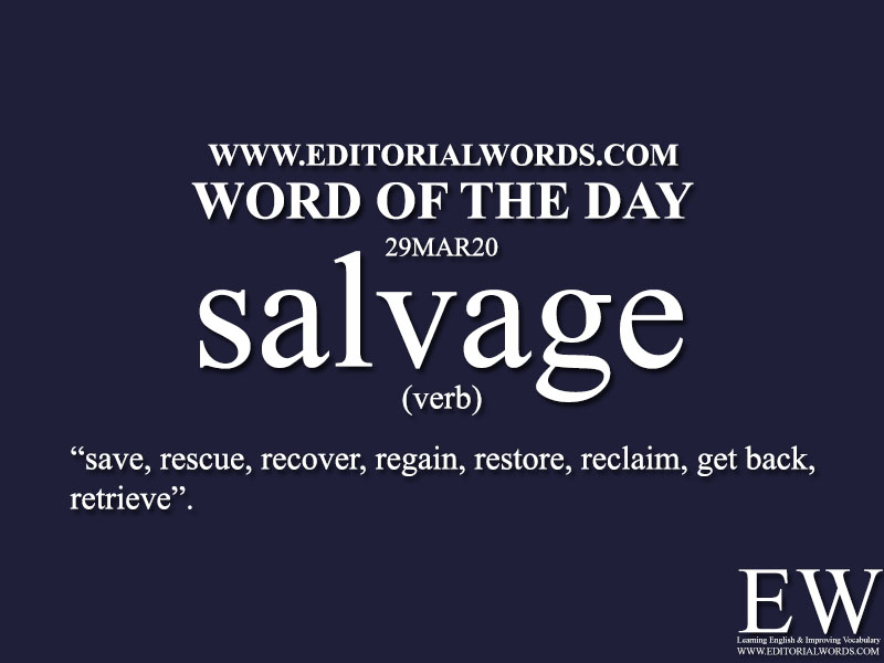 salvage-meaning-usage-quotes-and-social-examples