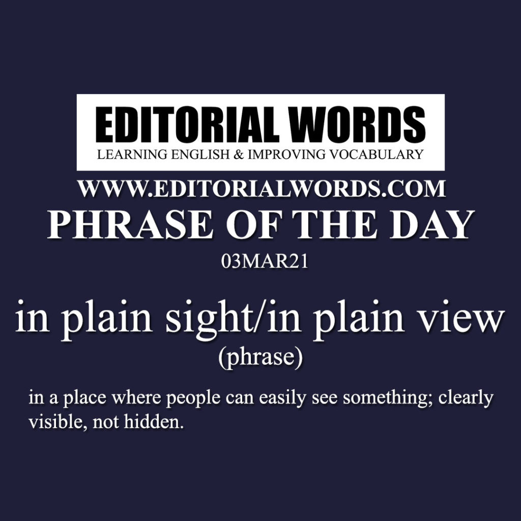 In Plain Sight Phrase Meaning