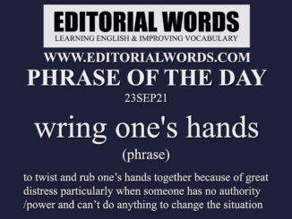 Phrase of the Day (wring one's hands)-23SEP21