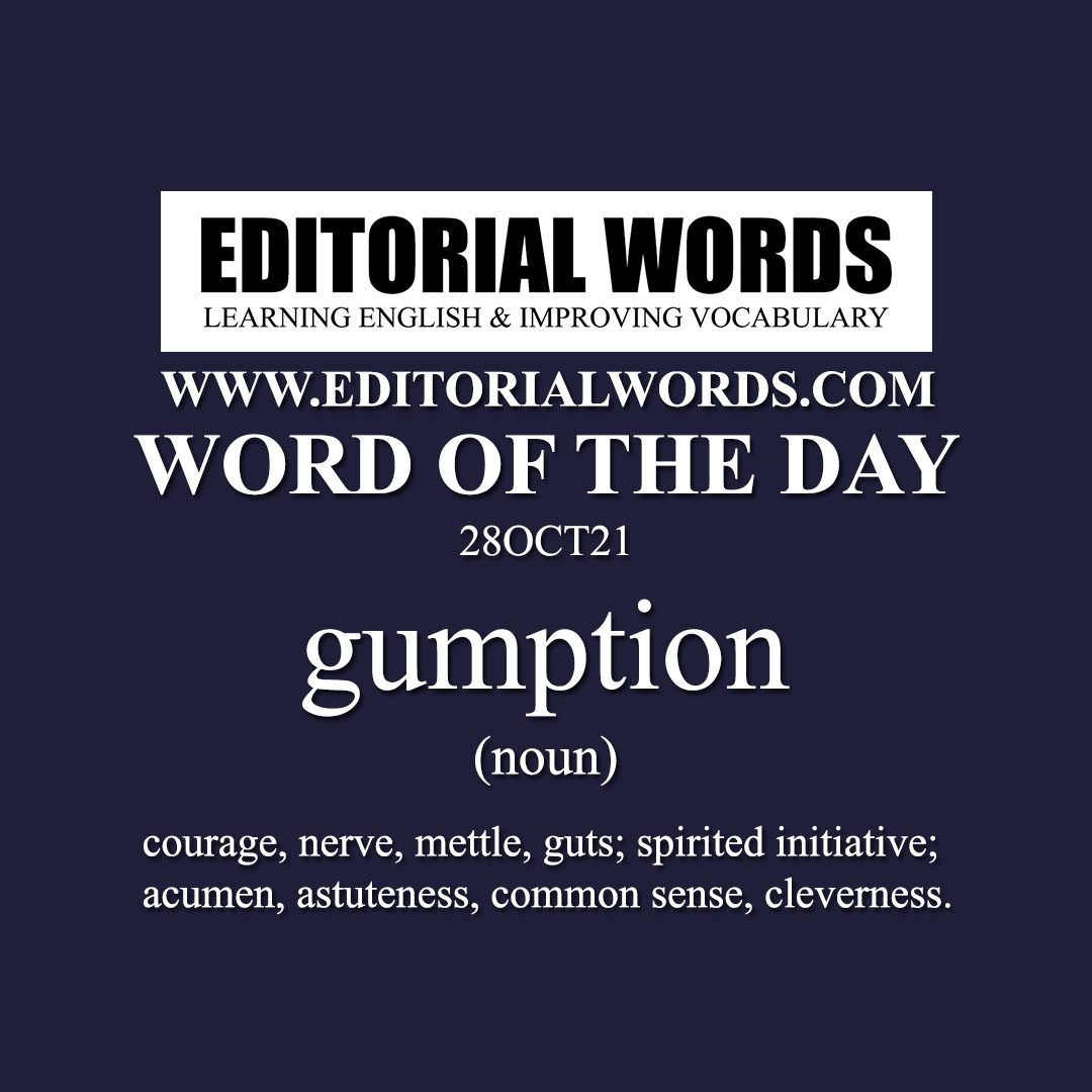 Word of the Day (gumption)-28OCT21