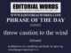 Phrase of the Day (throw caution to the wind)-21JAN22