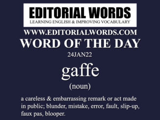 Word of the Day (gaffe)-24JAN22