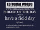 Phrase of the Day (have a field day)-15FEB22