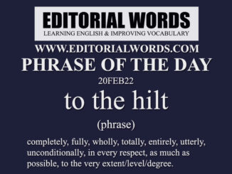 Phrase of the Day (to the hilt)-20FEB22