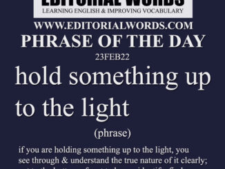 Phrase of the Day (hold something up to the light)-23FEB22