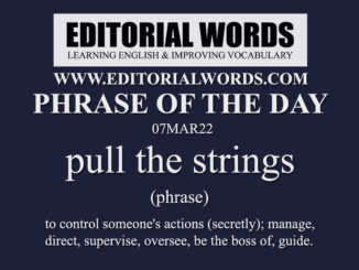 Phrase of the Day (pull the strings)-07MAR22