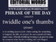 Phrase of the Day (twiddle one's thumbs)-16MAR22