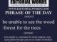 Phrase of the Day (be unable to see the wood/forest for the trees)-18MAR22