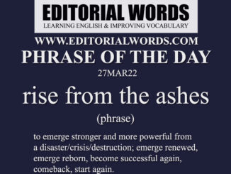 Phrase of the Day (rise from the ashes)-27MAR22