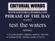 Phrase of the Day (test the waters)-05APR22