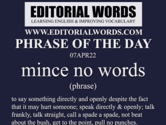 Phrase of the Day (mince no words)-07APR22