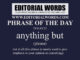 Phrase of the Day (anything but)-21MAY22