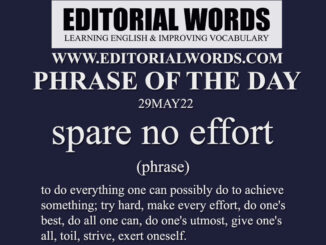 Phrase of the Day (spare no effort)-29MAY22