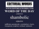 Word of the Day (shambolic)-21MAY22