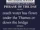 Phrase of the Day (much water has flown under the Thames or down the bridge)-23JUN22