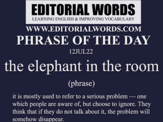 Phrase of the Day (the elephant in the room)-12JUL22