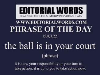 Phrase of the Day (the ball is in your court)-15JUL22