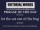 Phrase of the Day (let the cat out of the bag)-04AUG22