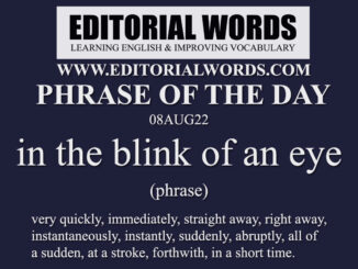 Phrase of the Day (in the blink of an eye)-08AUG22