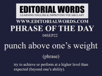 Phrase of the Day (punch above one’s weight)-04SEP22