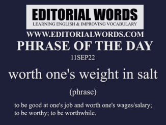 Phrase of the Day (worth one's weight in salt)-11SEP22