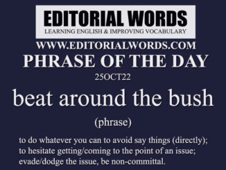 Phrase of the Day (beat around the bush)-25OCT22