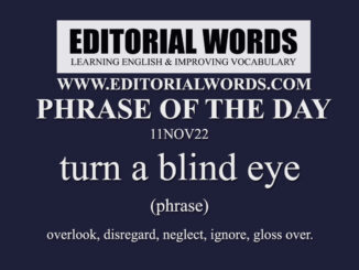 Phrase of the Day (turn a blind eye)-11NOV22