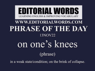 Phrase of the Day (on one’s knees)-13NOV22