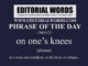 Phrase of the Day (on one’s knees)-13NOV22