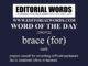 Word of the Day (brace (for))-13NOV22