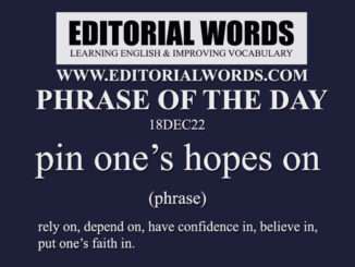 Phrase of the Day (pin one’s hopes on)-18DEC22