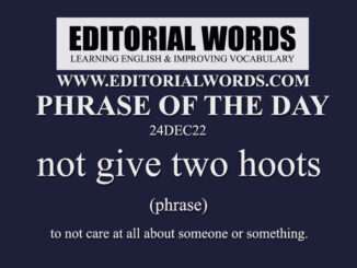 Phrase of the Day (not give two hoots)-24DEC22