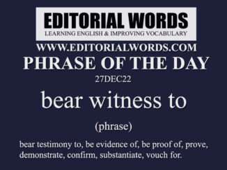 Phrase of the Day (bear witness to)-27DEC22