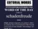 Word of the Day (schadenfreude)-21DEC22