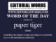 Word of the Day (paper tiger)-22DEC22