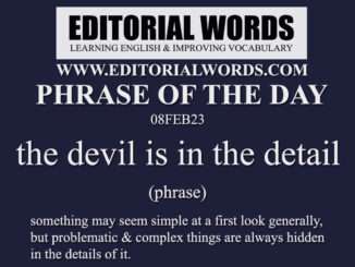 Phrase of the Day (the devil is in the detail)-08FEB23