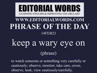 Phrase of the Day (keep a wary eye on)-14FEB23