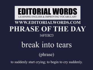 Phrase of the Day (break into tears)-16FEB23